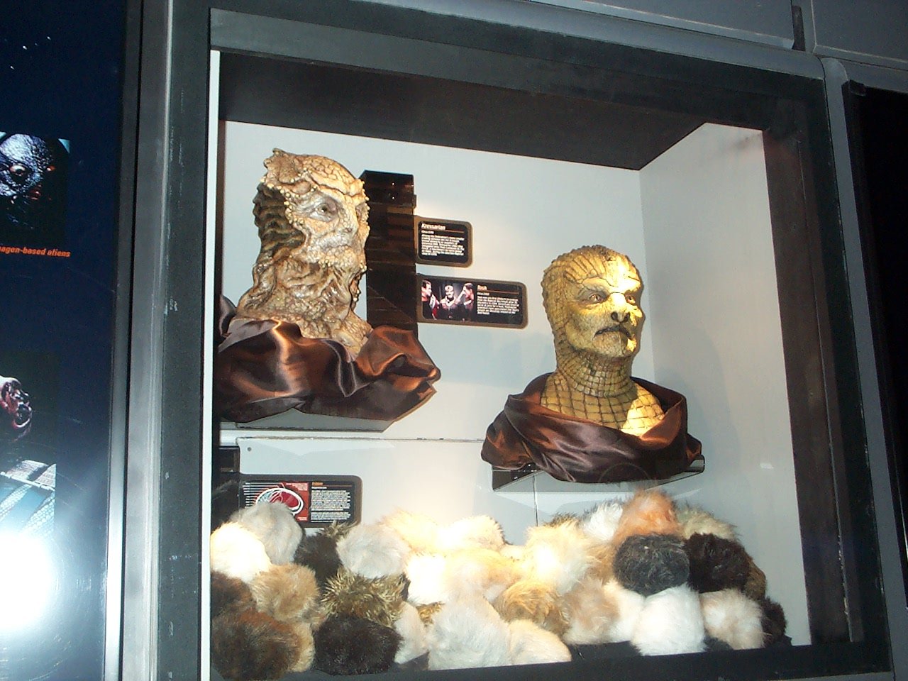 masks and tribbles